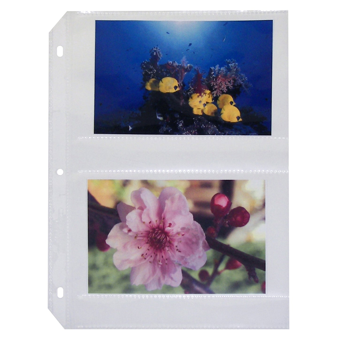 35mm Ring Binder Photo Storage Pages - 4 x 6, Traditional clear - side load, 11 1/4 x 8 1/8, 50/BX, 52564